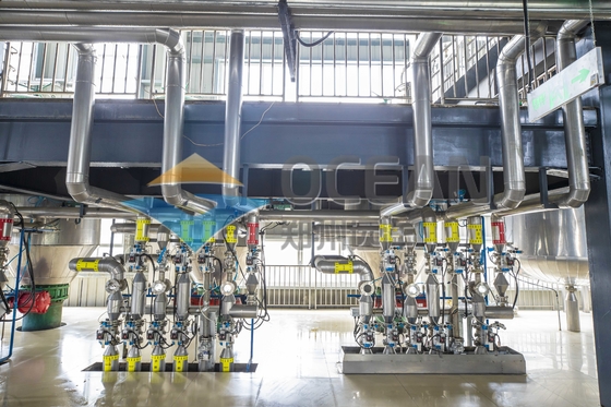 Otomatik Fiberglas Yemeklik Yağ İşleme Ekipmanları Pres Tesisi Küçük Ölçekli