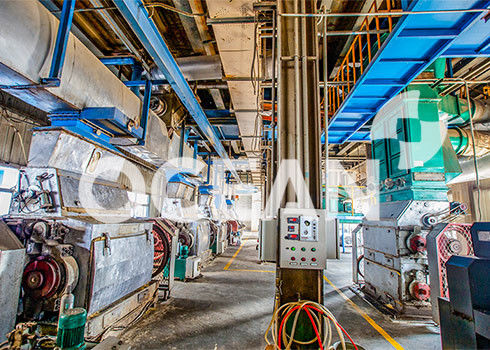 3D Tasarım Yağlı Tohumlar Ön Arıtma Makinesi 10-1500TPD Patentli Teknoloji