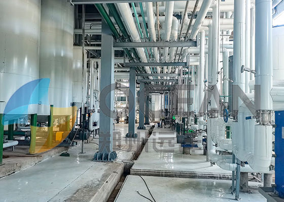 OEM Bitkisel Yağ Pres Ekipmanları Palmiye Yağı Yapma Makinesi