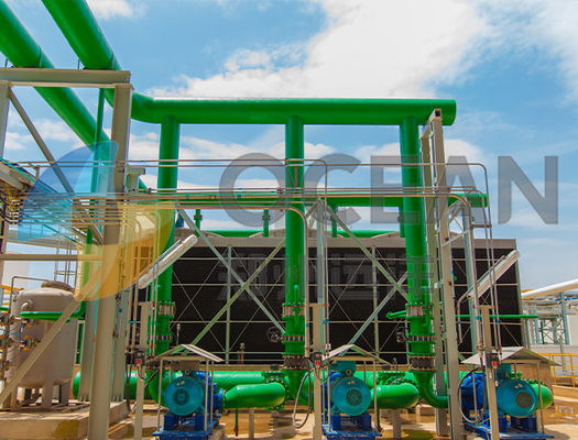 OEM ODM Kolza Yağı Ayçiçek Yağı Çıkarma Ekipmanları Enerji Tasarrufu