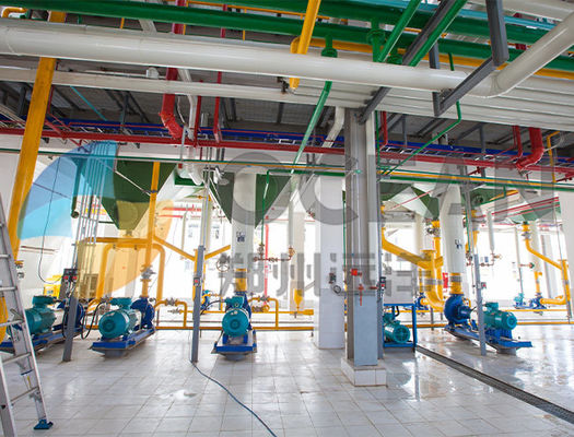 10-1000TPD Yağlı Tohum Pres Tesisi ISO9001 Kolza Yağı Presi Enerji Tasarrufu