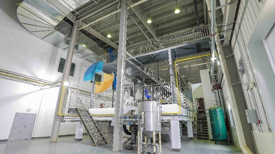 CPO Ayçiçek Yağı Arıtma Makinesi Degumm Deacidification